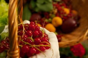 Currant Shrub